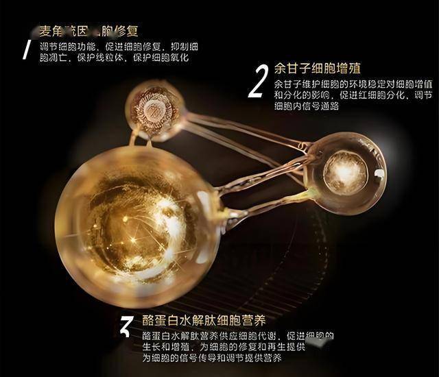 xm外汇平台官网600余场精彩活动让儿童“科学过暑假”